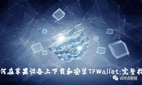 如何在苹果设备上下载和安装TPWallet：完整指南